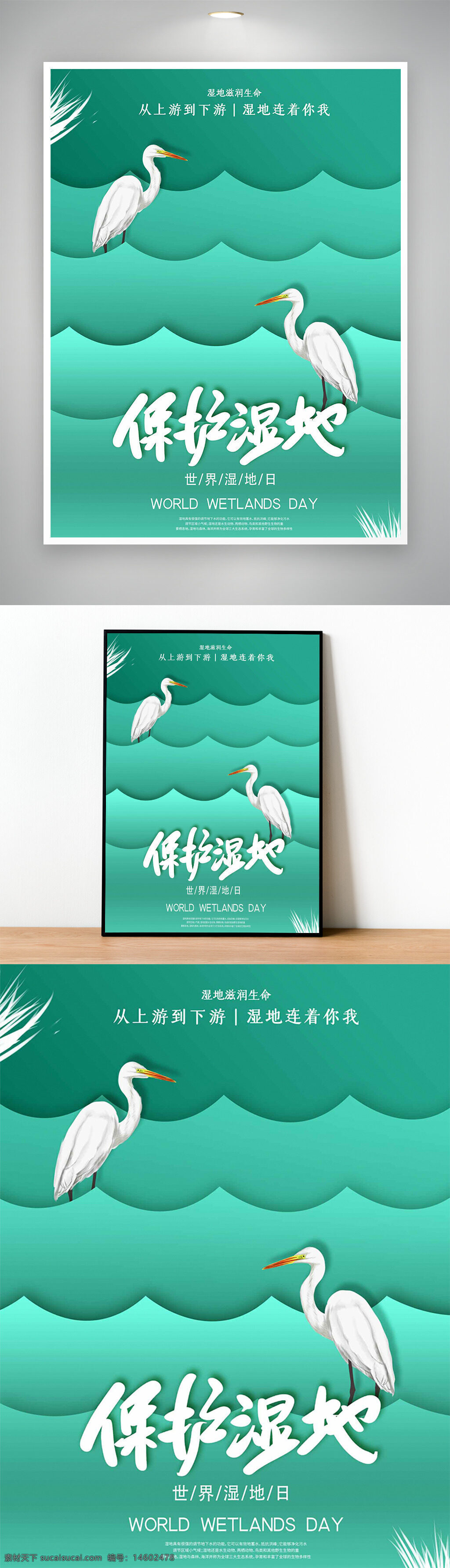 濕地 世界濕地日 保護(hù)濕地 生態(tài)保護(hù) 環(huán)境保護(hù) 濕地鳥類 白鷺 生態(tài)系統(tǒng) 自然資源 濕地恢復(fù) 濕地管理 濕地生態(tài) 濕地保護(hù)宣傳 濕地日活動 濕地環(huán)境教育 濕地科學(xué) 濕地研究 濕地功能 濕地價值