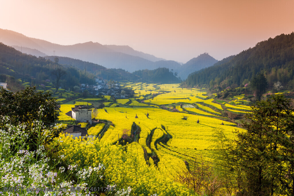 夕陽(yáng) 山脈 村莊 田野 油菜花 金黃色 春天 自然風(fēng)景 梯田 鄉(xiāng)村風(fēng)光 山谷 植物 花田 田園風(fēng)光 寧?kù)o