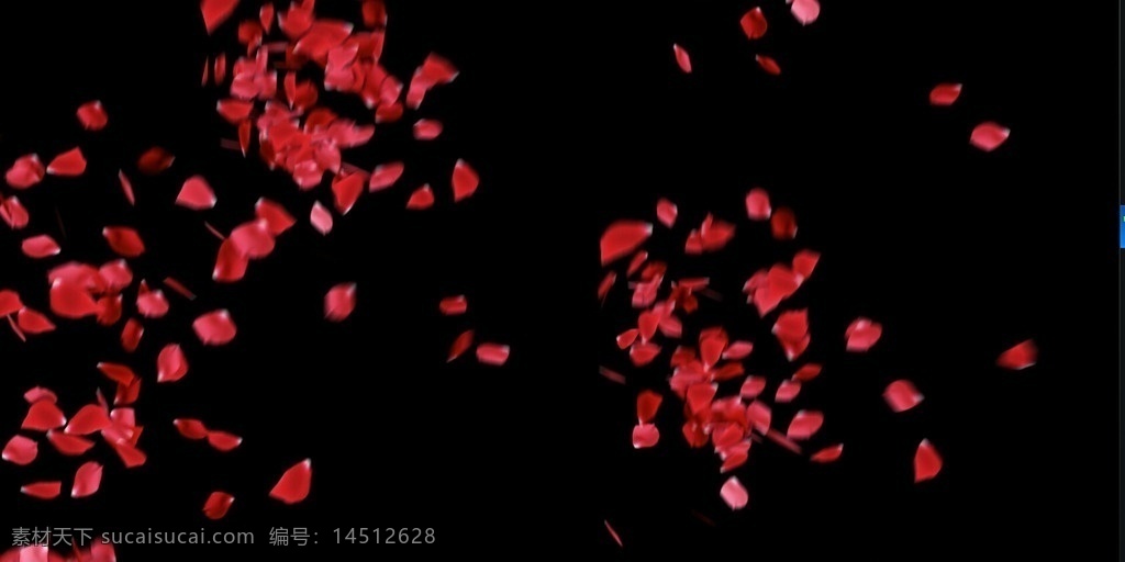 紅色 花瓣 視頻 花瓣視頻素材 花瓣鶴視頻 婚禮視頻素材 花瓣雨視頻 舞臺背景視頻 視頻素材 多媒體設(shè)計 源文件 mov 合成背景素材 影視編輯 多媒體 視頻背景