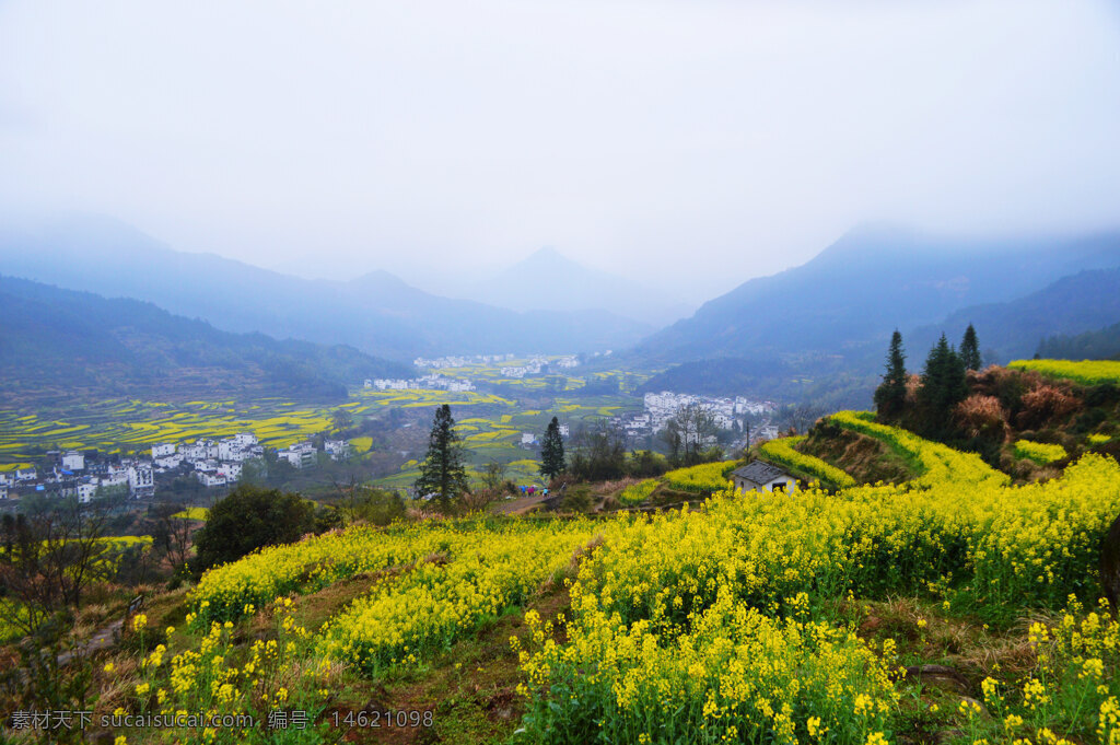 油菜花 田野風(fēng)光 自然風(fēng)景 鄉(xiāng)村風(fēng)光 美麗梯田 春天景色 鄉(xiāng)村寧?kù)o 田園風(fēng)光 霧氣彌漫 山谷景色 黃色花海 鄉(xiāng)村景象 油菜花田 田園春色