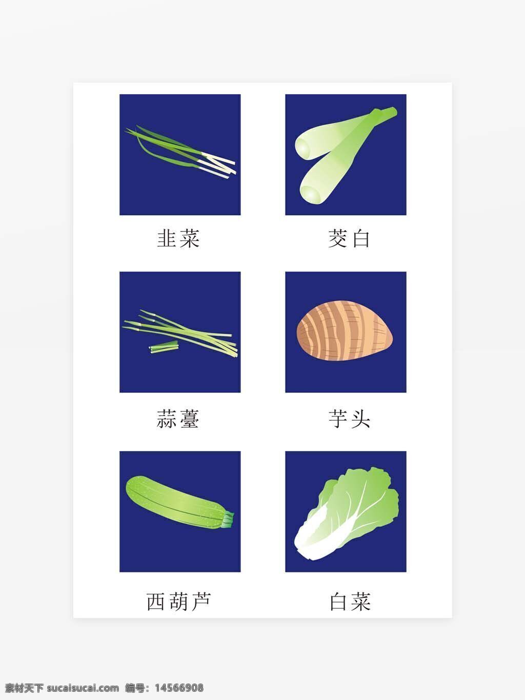 蔬菜矢量图 韭菜 茭白 蒜薹 芋头 西葫芦 白菜 可变大小