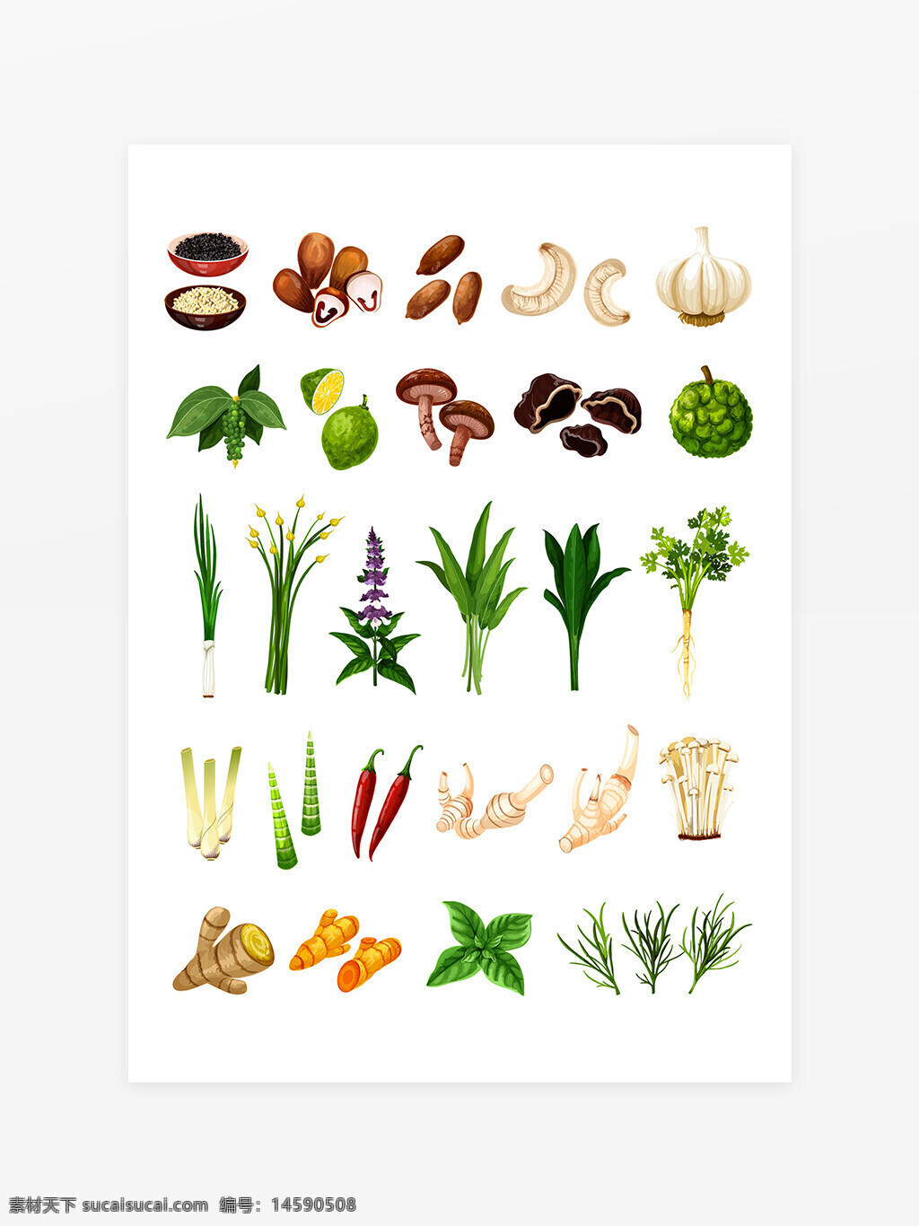 香料 草药 蔬菜 食材 大蒜 香茅 青柠 香菇 黑木耳 柠檬叶 生姜 辣椒 罗勒 芫荽 姜黄 红辣椒 金针菇 竹笋 洋葱 香葱