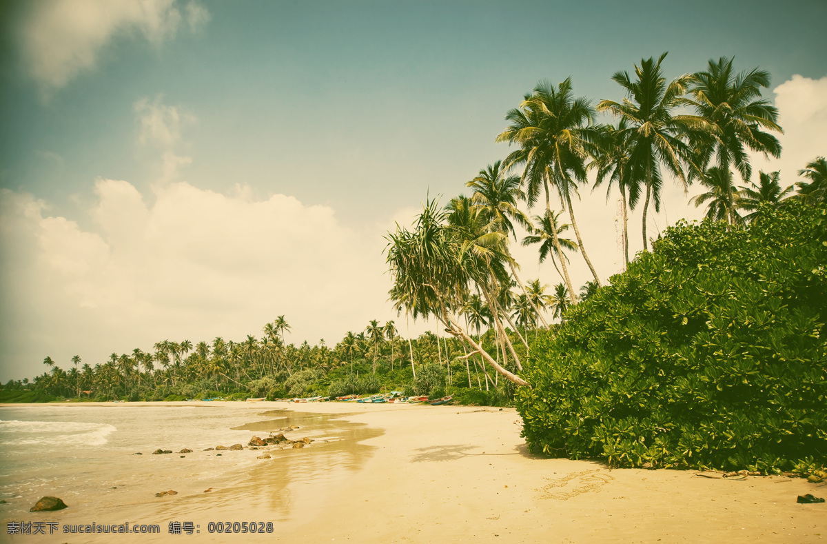 美丽 椰树 海滩 景色 蓝天 天空 白云 海滩风景 沙滩风景 美丽风景 海洋风景 海岸风景 美丽景色 风景摄影 美景 自然风光 海洋海边 自然景观 黄色