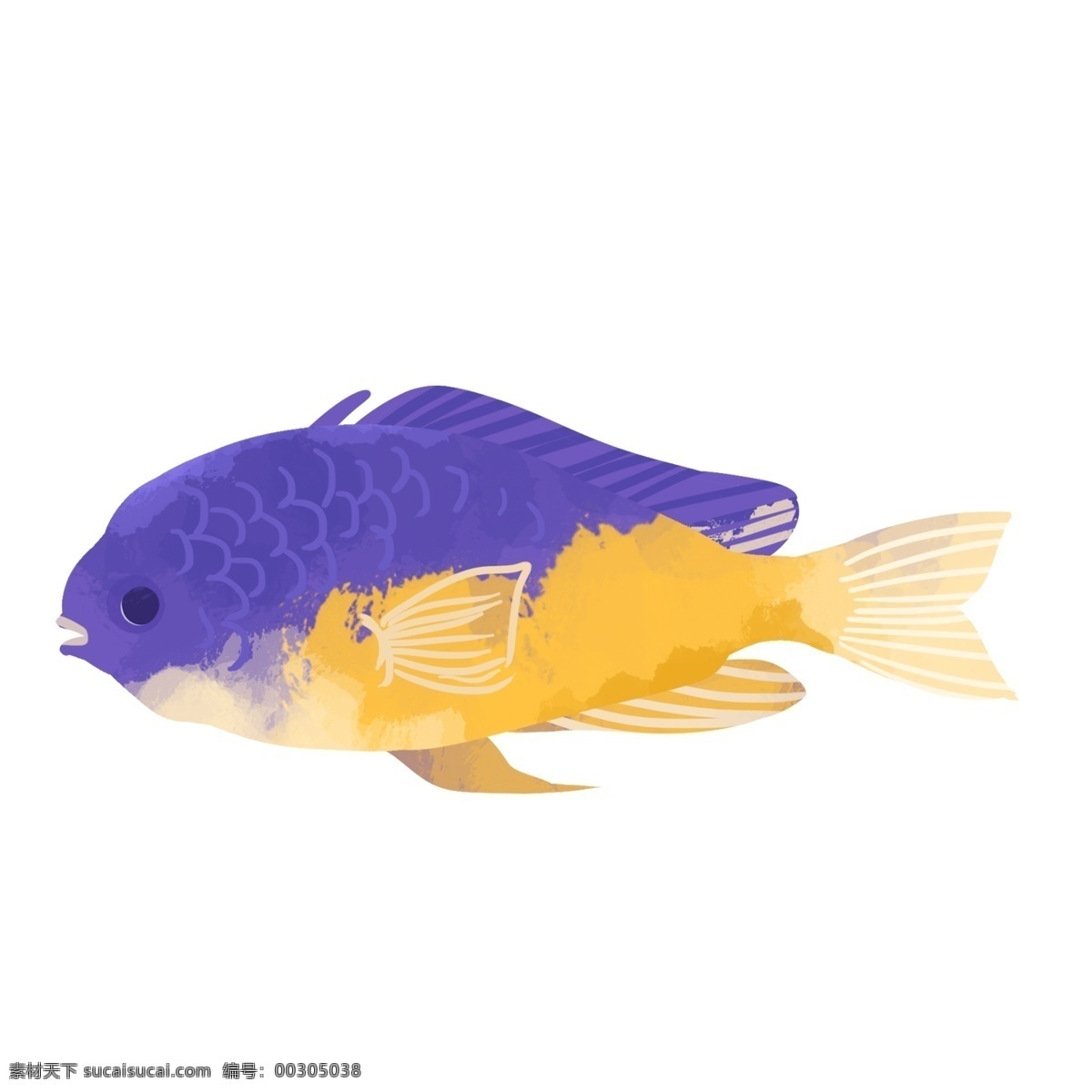 手绘 唯美 彩色 鱼 元素 彩色鱼 海洋生物 png元素 免抠元素 装饰素材 透明素材