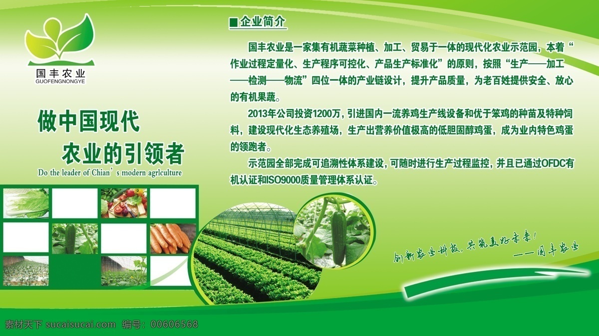 蔬菜宣传展板 蔬菜 绿色 农业 背景 种植 展板模板 广告设计模板 源文件