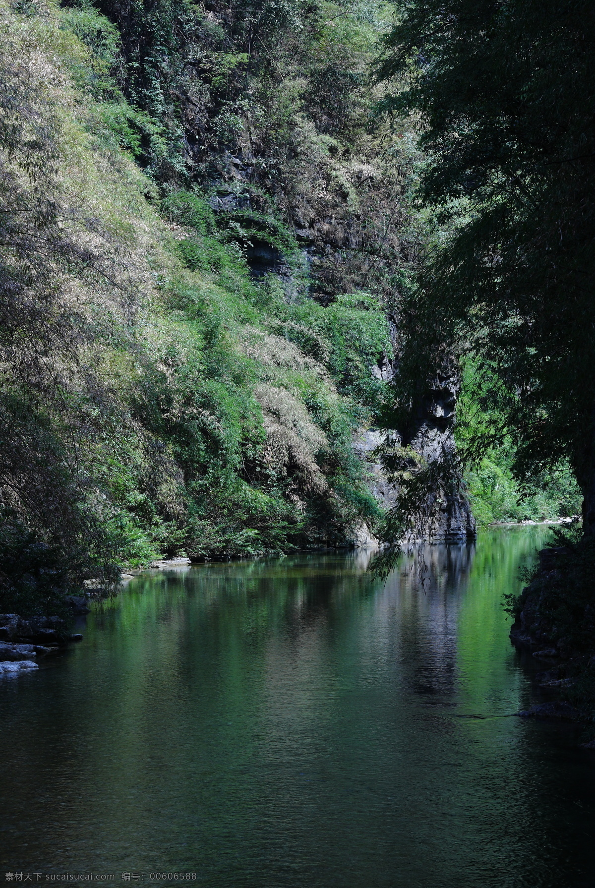 静静的小溪 小溪 绿树 竹子 绿叶 山水风景 自然景观
