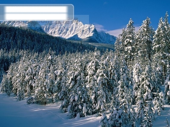 摄影免费下载 景观 山水风景 树林 雪景 雪山 自然 冰雪世界 家居装饰素材 山水风景画