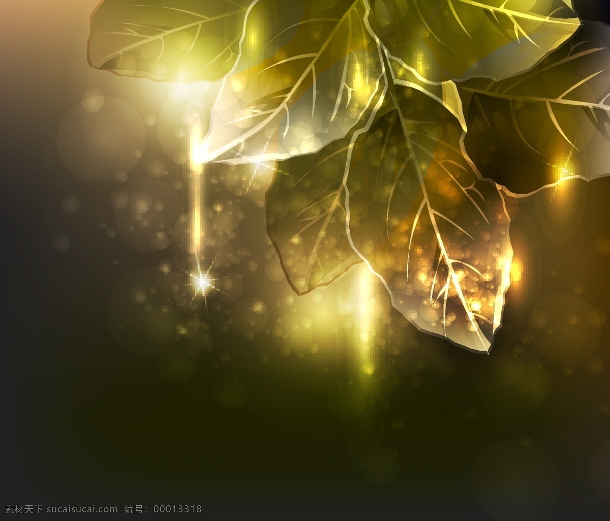 阳光 炽热 森林 背景 矢量 web 创意 光 免费 树 图形 病 媒 生物 时尚 独特的 原始的 高质量 质量 新鲜的 设计新的 叶 自然 早晨的阳光 psd源文件