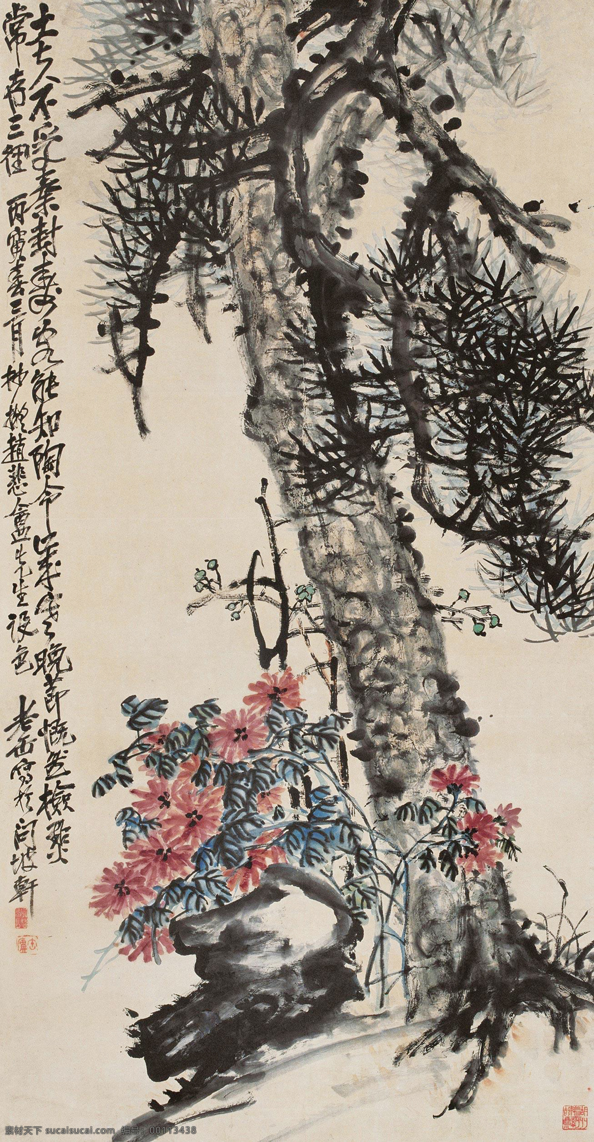 国画 绘画书法 菊花 水墨画 松 松树 文化艺术 松菊设计素材 松菊模板下载 松菊 吴昌硕 写意 中国画 国画吴昌硕