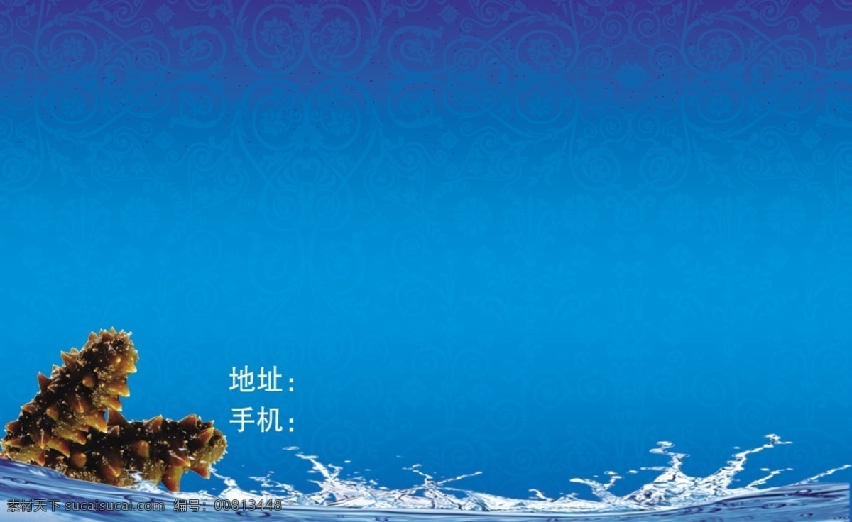 海参名片 模板 水 水花 蓝色 梦幻 海鲜