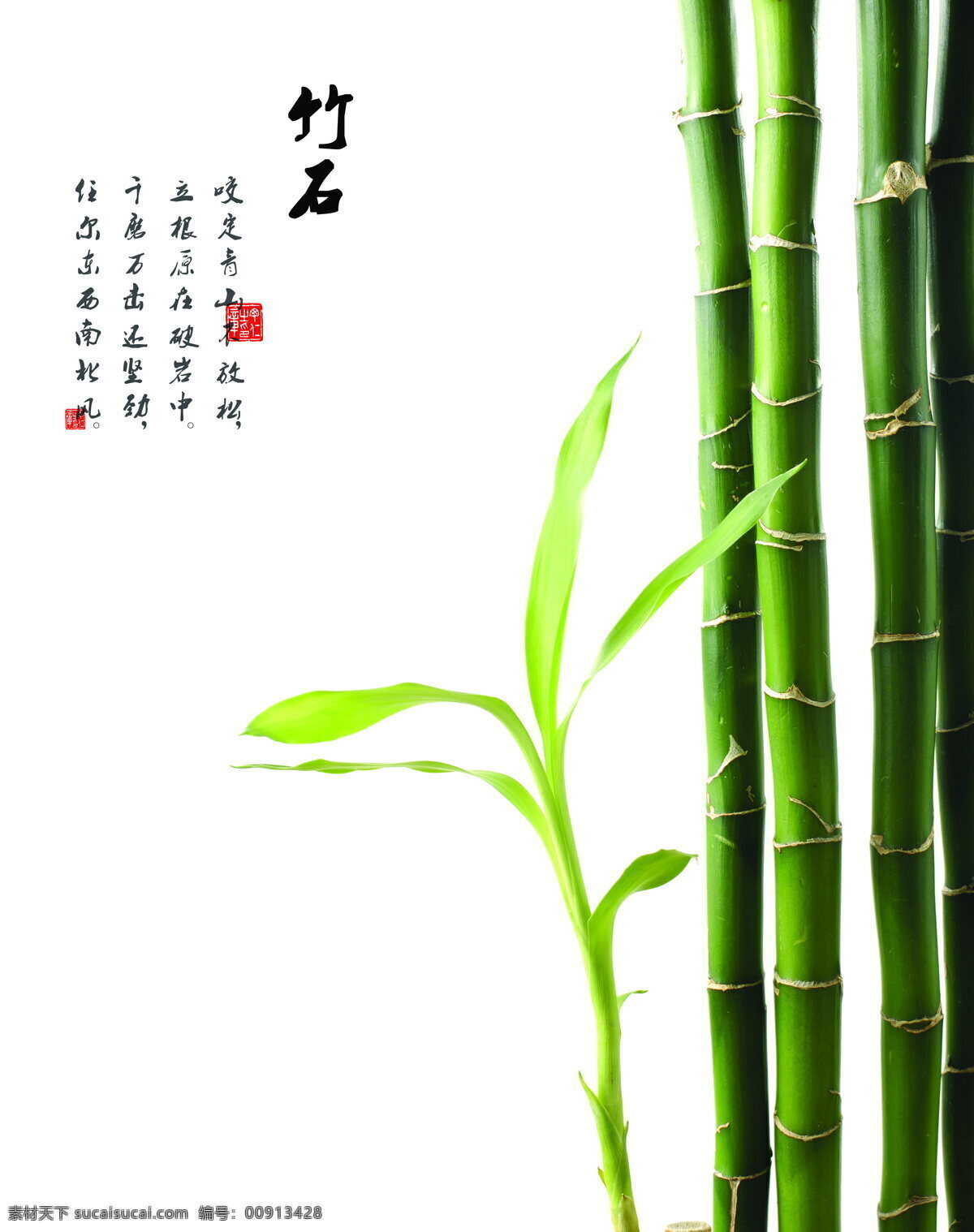 竹石免费下载 竹 　 竹子 翠竹 嫩叶 诗文 印章 中式 中国 风 移门 大全 图案 家居装饰素材