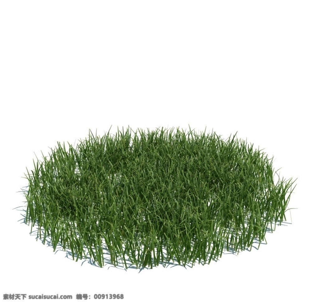 植物模型 小草模型 3d模型 室外模型 高品质模型 植物 草 模型 3d设计模型 源文件 max