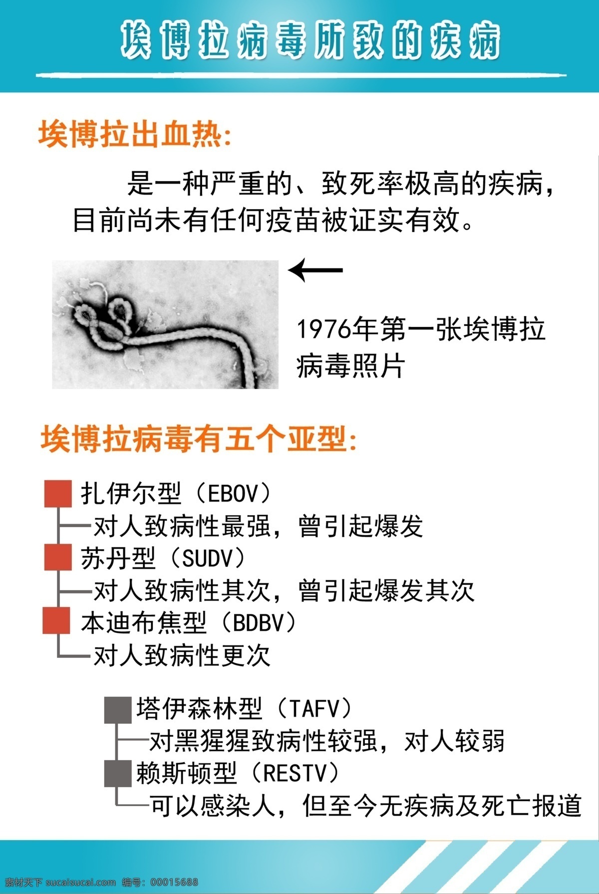 健康锻炼海报 埃博拉 埃博拉病毒 病毒 传播 途径 传播途径 出血热 传染源 蓝色 底板 宣教 健康 知识 人 分类 dm宣传单