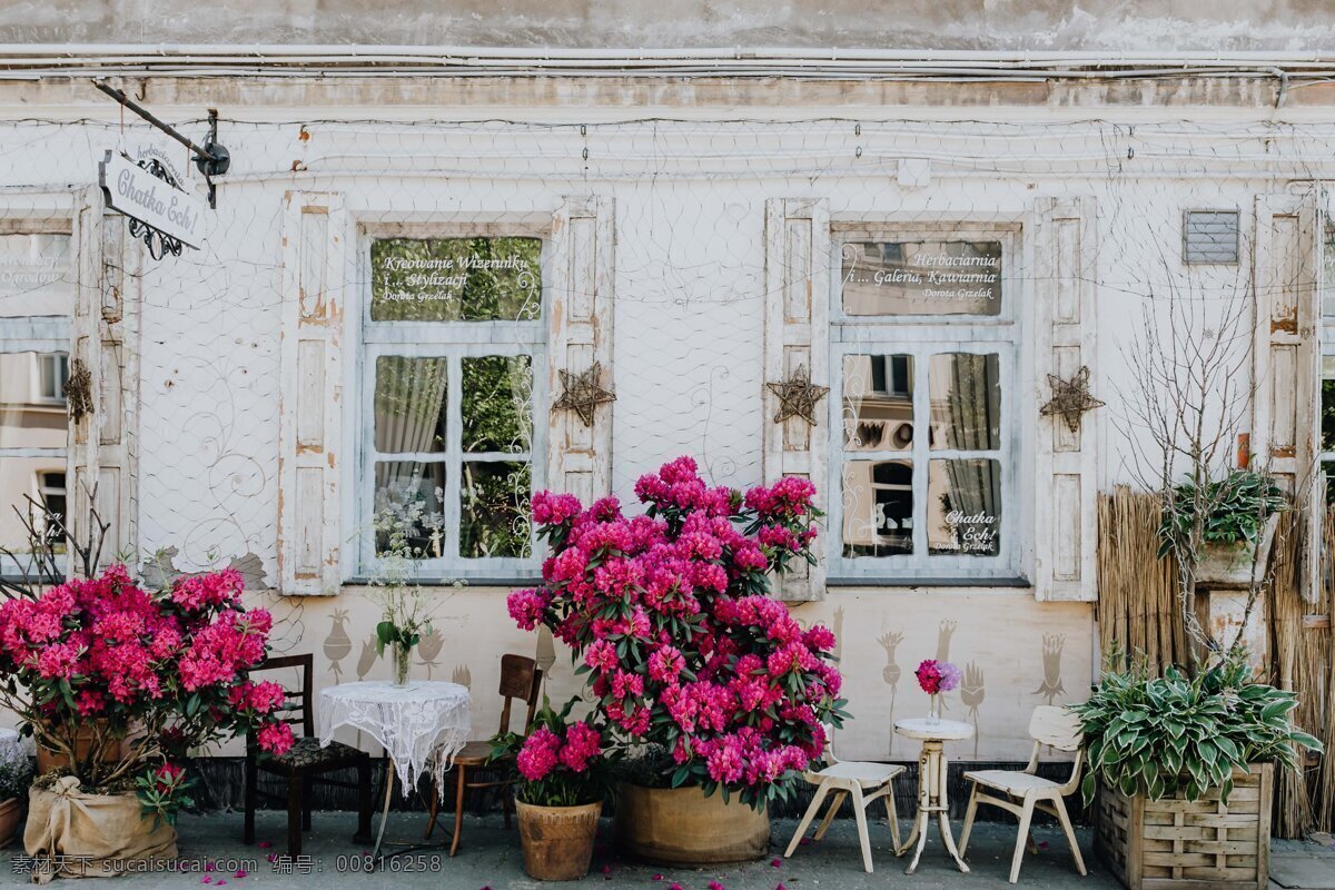 向往的生活 餐厅背景 咖啡厅背景 红花 背景图 一角 小房子 文艺范 摄影背景