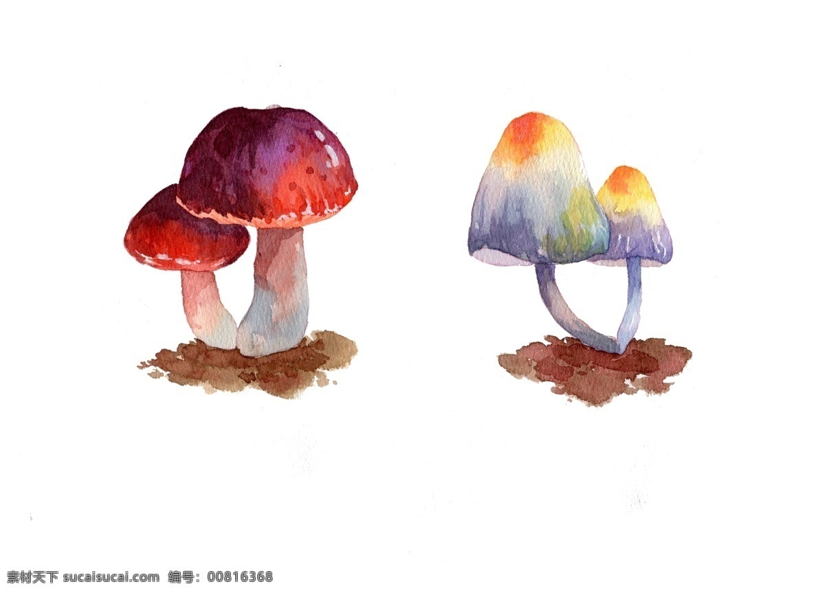食物 秋季 秋日 菌类 蔬菜 蘑菇 卡通 手绘 插画 水彩 秋天