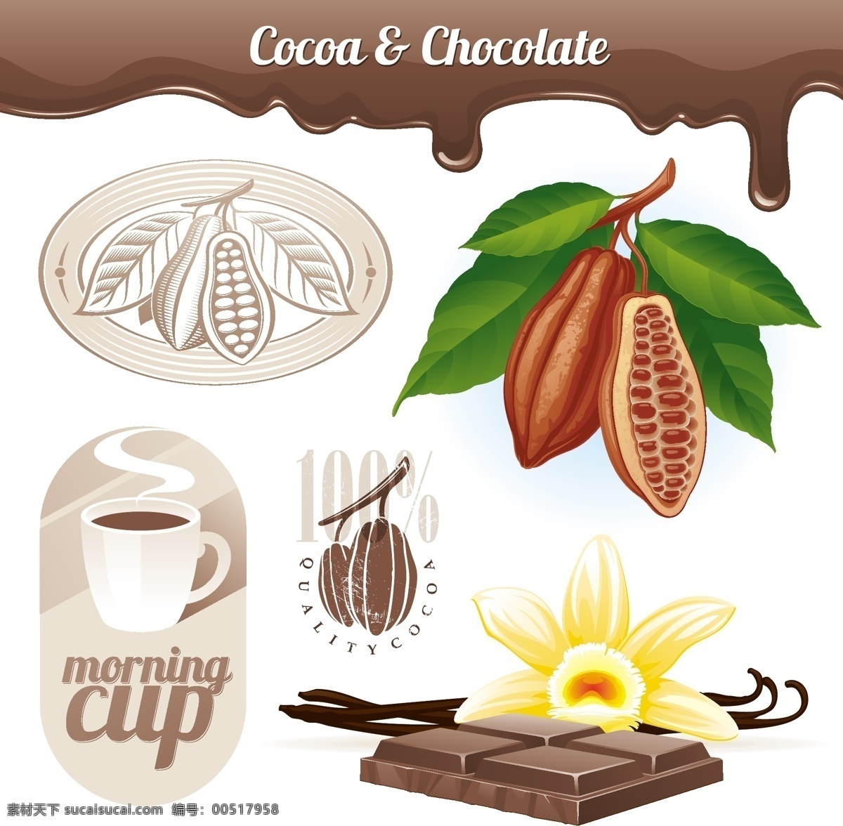咖啡 橄榄 矢量 橄榄枝 咖啡豆 巧克力 矢量素材 海报 其他海报设计