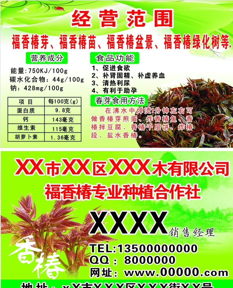 香椿名片 香椿 椿芽 名片 香椿树 名片卡片