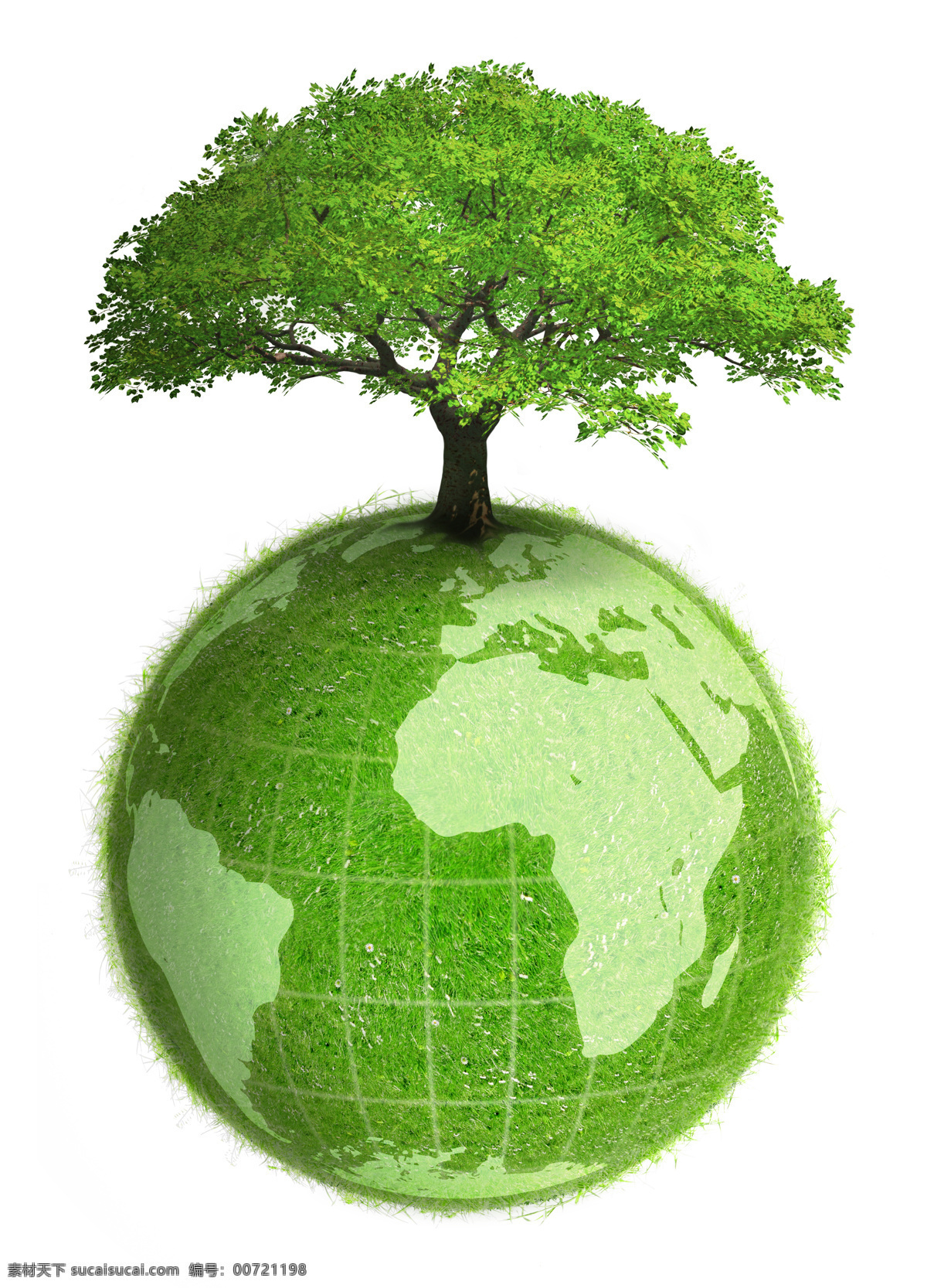 绿色 地球 上 大树 绿树 球体 绿色地球 绿色环保 保护地球 宇宙太空 环境家居