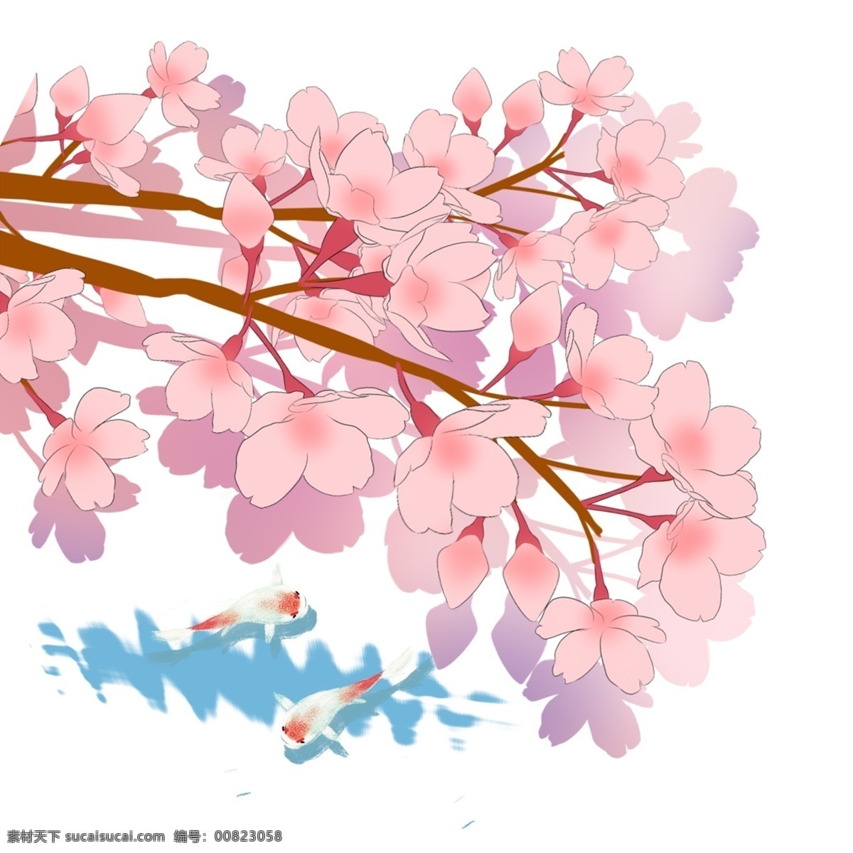 日本 春季 樱花 锦鲤 风景 图 春天 花卉 花朵 粉色花瓣 樱花树 树枝 观赏樱花 手绘樱花 水纹 波浪 池塘景致