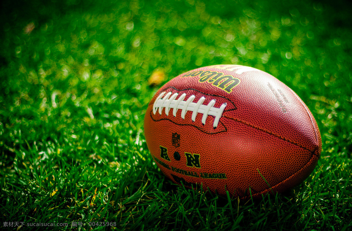 橄榄球 美式足球 体育 草地 球 锻炼 生活百科 体育用品