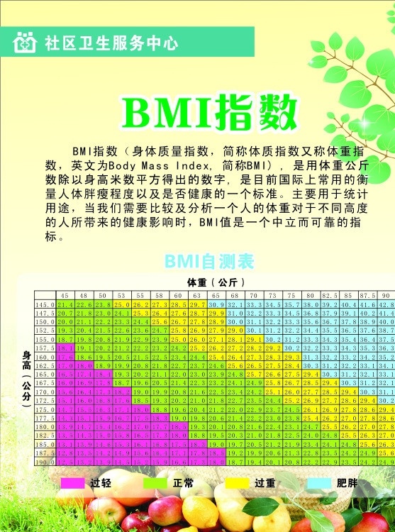 bmi指数 bmi 肥胖 健康 指数 医院展板 矢量