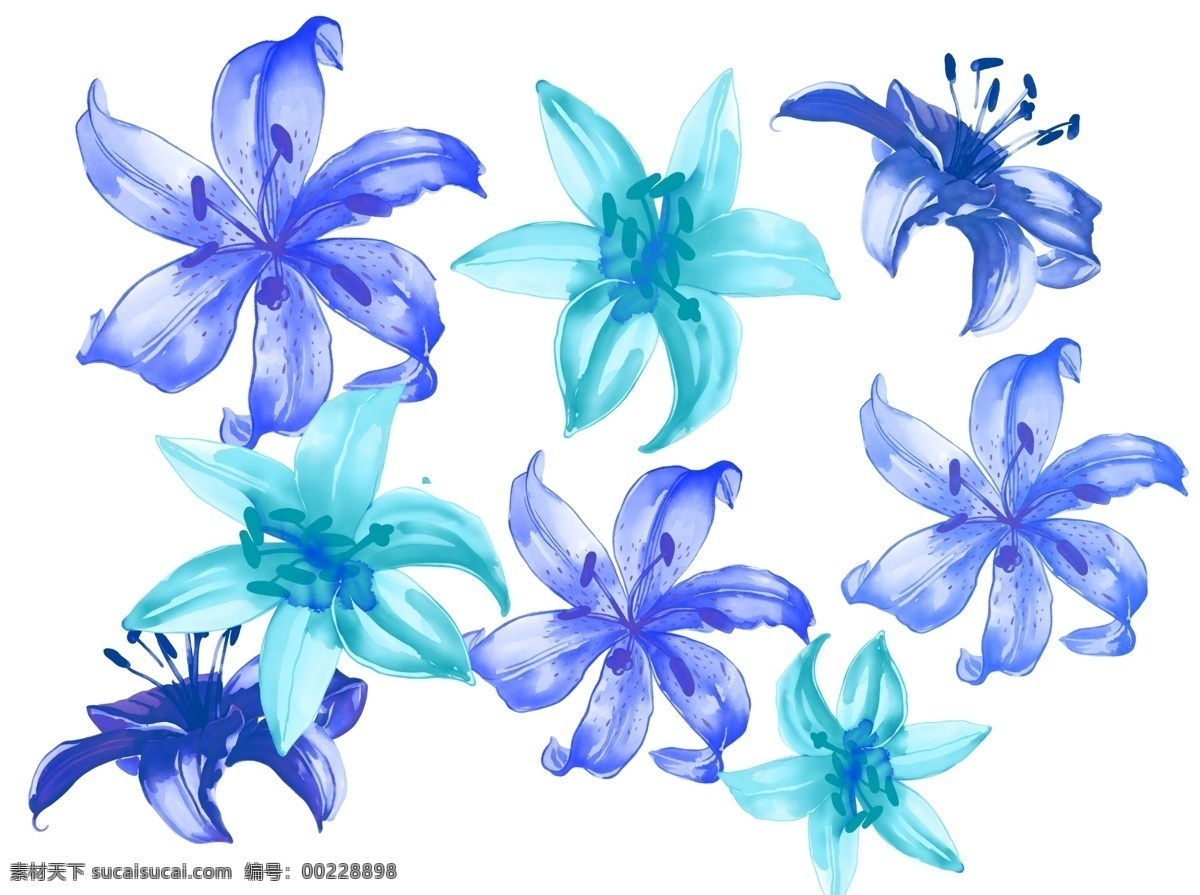 手绘百合花 手绘 淡彩 染墨风格 蓝色 百合花 花卉 花朵 矢量 底纹边框 背景底纹