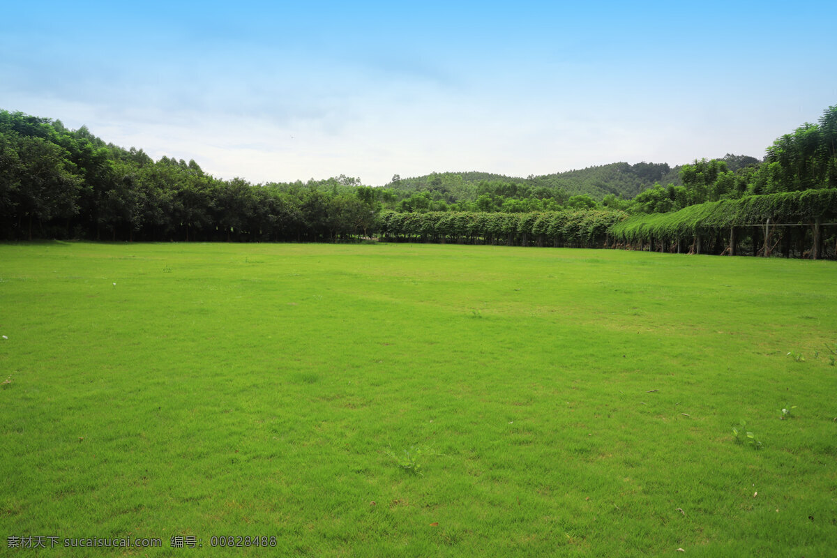 草坪 背景 自然 美景 草地 露营 野营 自然景观 自然风景