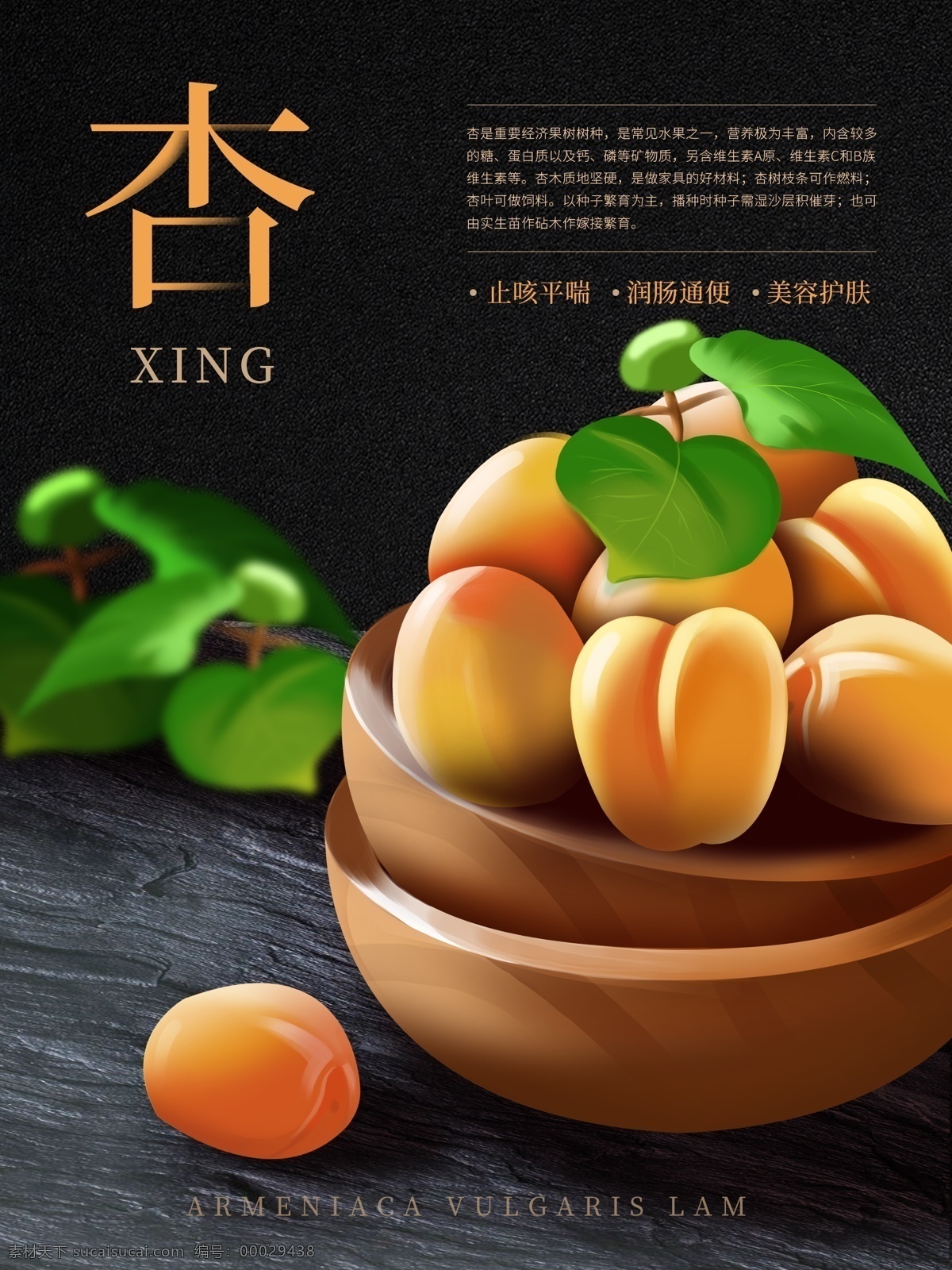 原创 插画 杏子 美食 水果 海报 原创插画 手绘 清新 文艺 食物主题海报