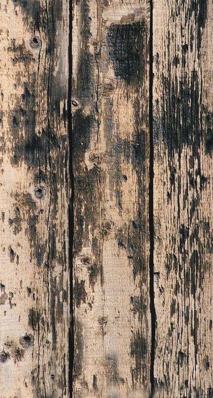 木纹 板材 残 旧 木纹板材贴图 3d贴图库 3d模型下载 木纹板材 残旧