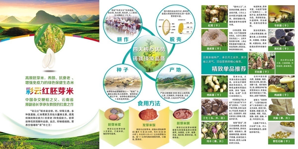 云南 生态 米 b 生态米 单页 绿色 天然 林芝 松茸 宣传活动 广告设计模板 源文件