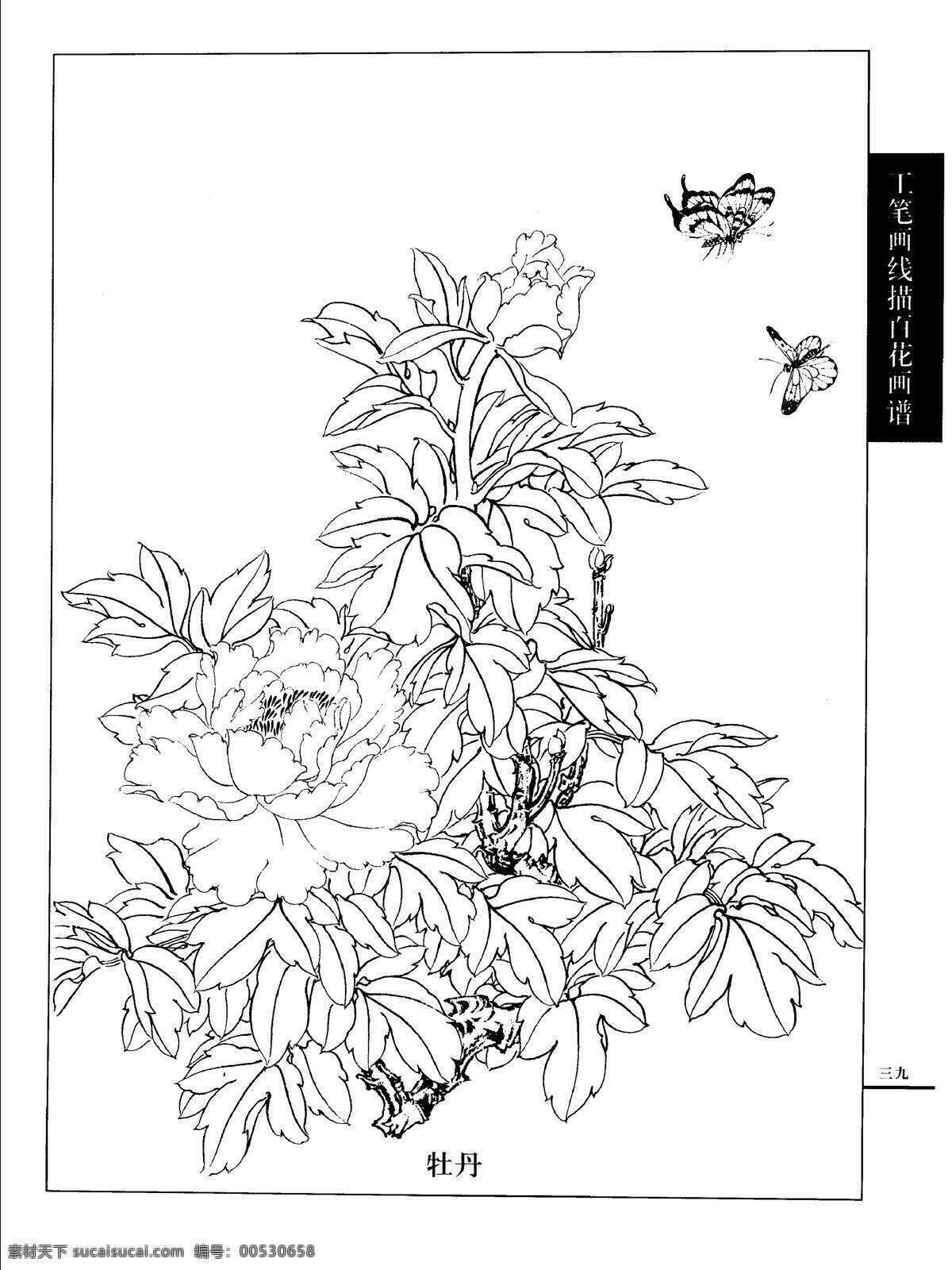 工笔画 线描 百花 画谱 牡丹 白描 国画 唯美 工笔 花鸟 图谱 绘画书法 文化艺术