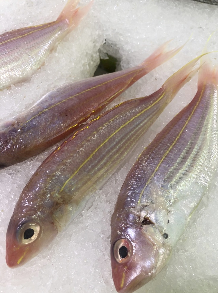 超市金丝鱼 冰冻 金丝鱼 海鲜 冰鲜金丝鱼 海鱼 冷冻 生鲜 美食原材料 照片 超市素材 餐饮美食 食物原料