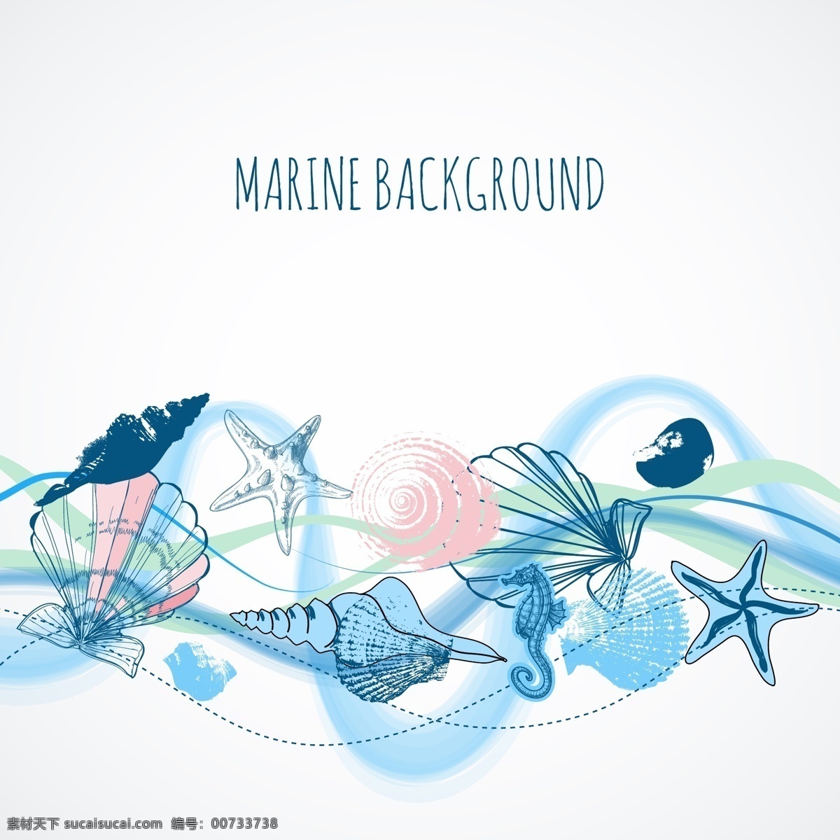水彩 绘 海洋 贝壳 插画 手绘 水彩绘 生物 海星 海螺