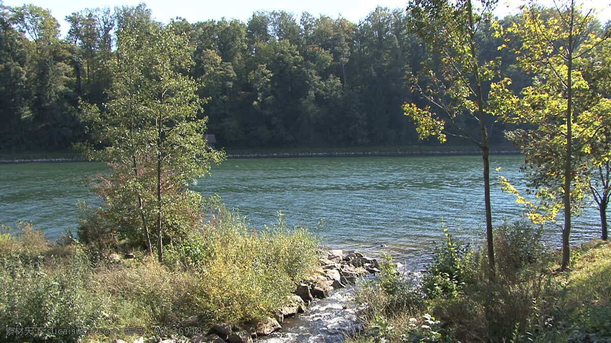 德国 穆尔 格河 流 莱茵 劳芬 堡 股票 视频 船 河 视频免费下载 树木 穆尔格河 劳芬堡 水 其他视频
