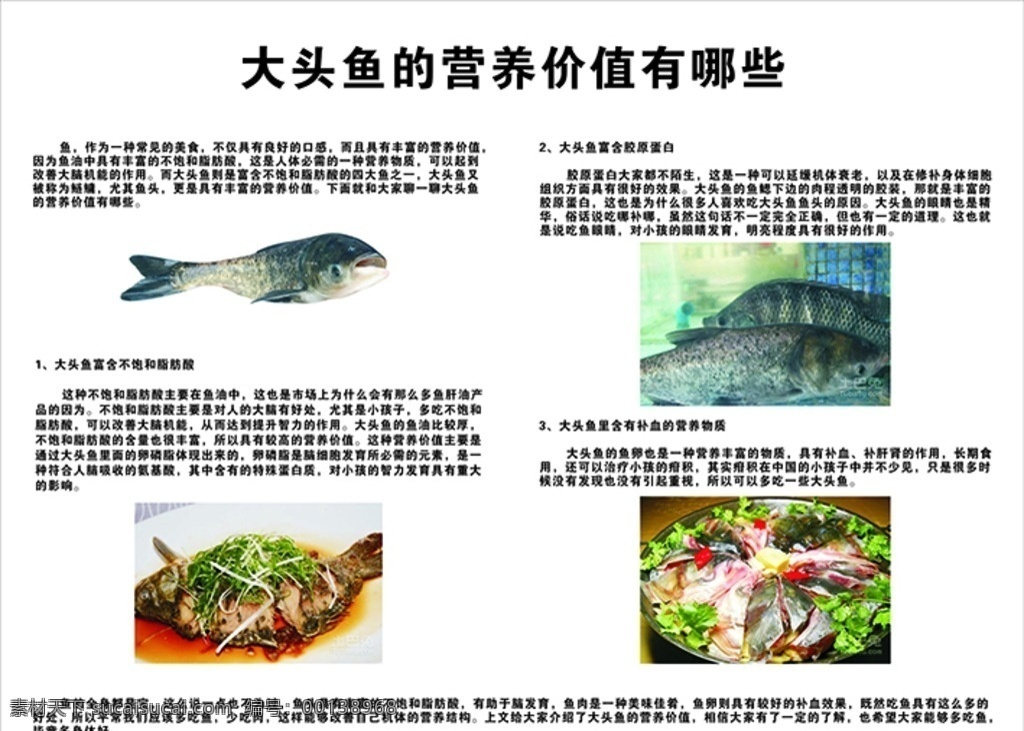 大头鱼 营养 价值 鱼的营养价值 鱼文化 吃鱼的好处 营养价值 鱼类 鱼肉 室内广告设计