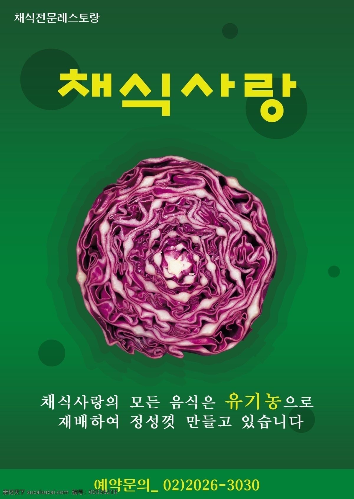 卷心菜 韩国 海报 psd素材 韩国海报 韩国料理 美食 其他海报设计