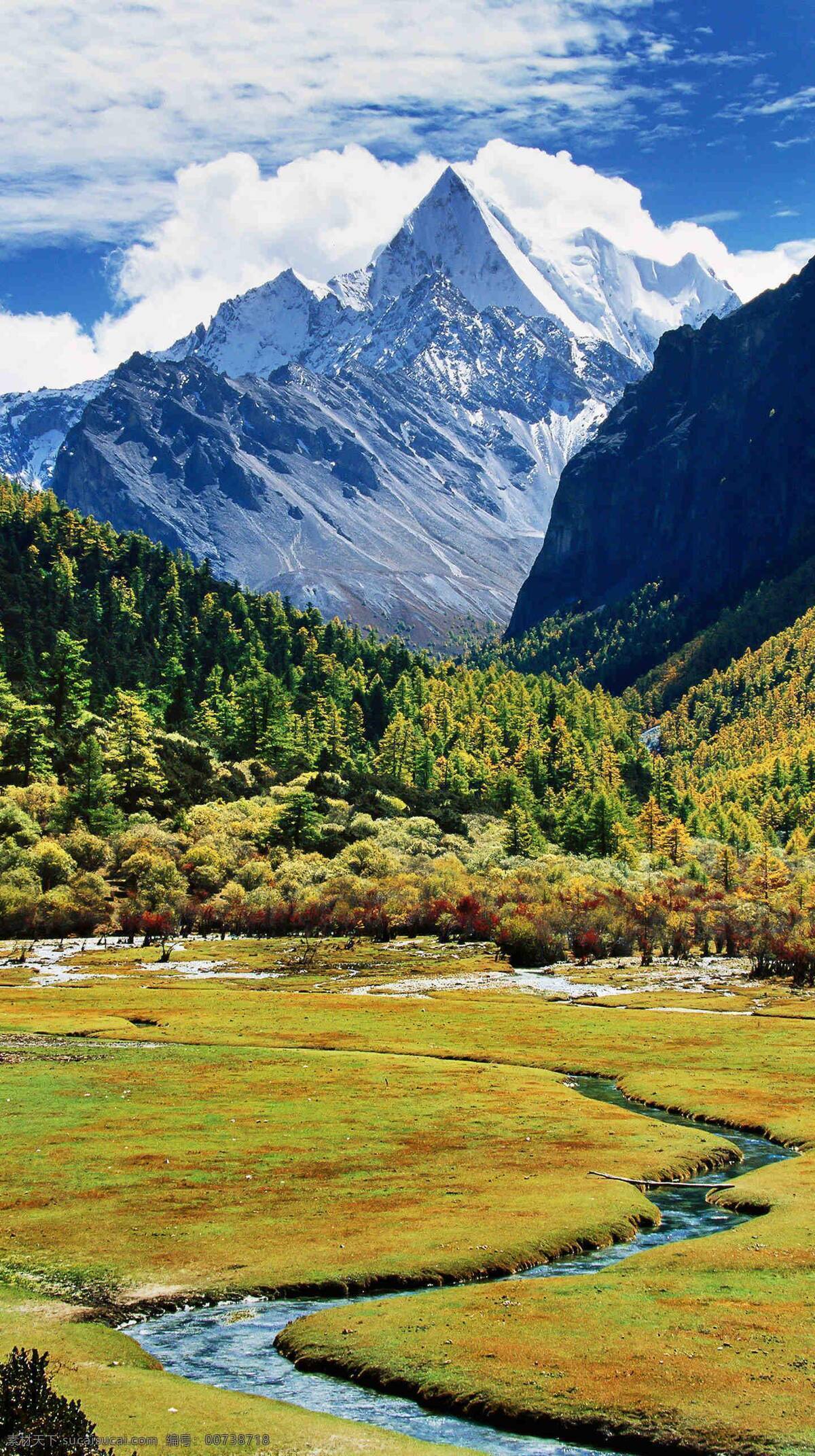 冰山绿水 冰山 树林 草地 绿地 溪流 自然景观 山水风景