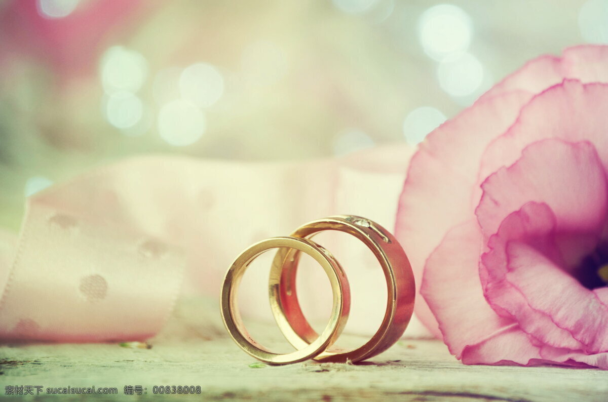 唯美 情侣 戒指 高清 非主流戒指 对戒 粉色 花朵