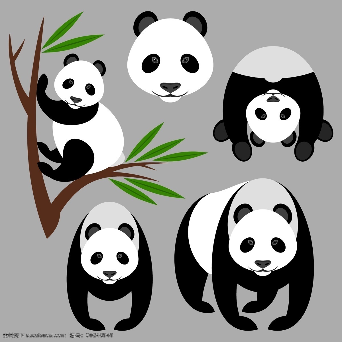 卡通 可爱 大熊猫 插画 动物 国宝 憨态