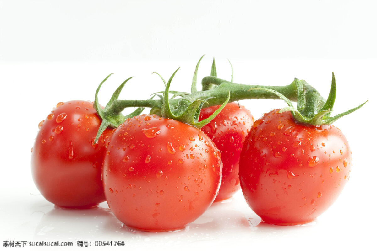 番茄 西红柿 小番茄 小西红柿 蔬菜 西红柿蔬菜 番茄蔬菜 红番茄 番茄照片 番茄素材 生物世界