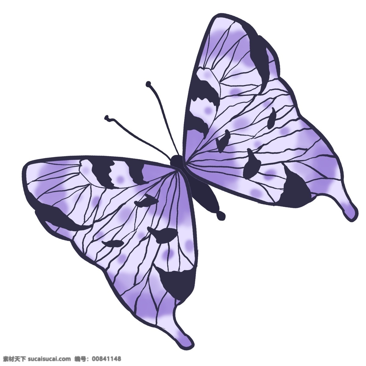 动物 昆虫 蝴蝶 蓝色 写实 标本 卡通 免抠