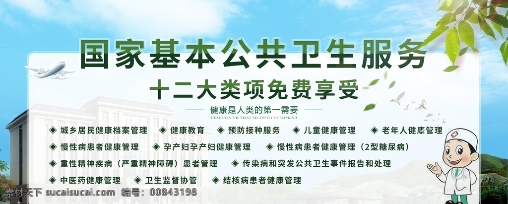 国际 基本 公共卫生 服务 十二大 类 居民健康 儿童健康 预防接种 老年人 展板 项目 分层