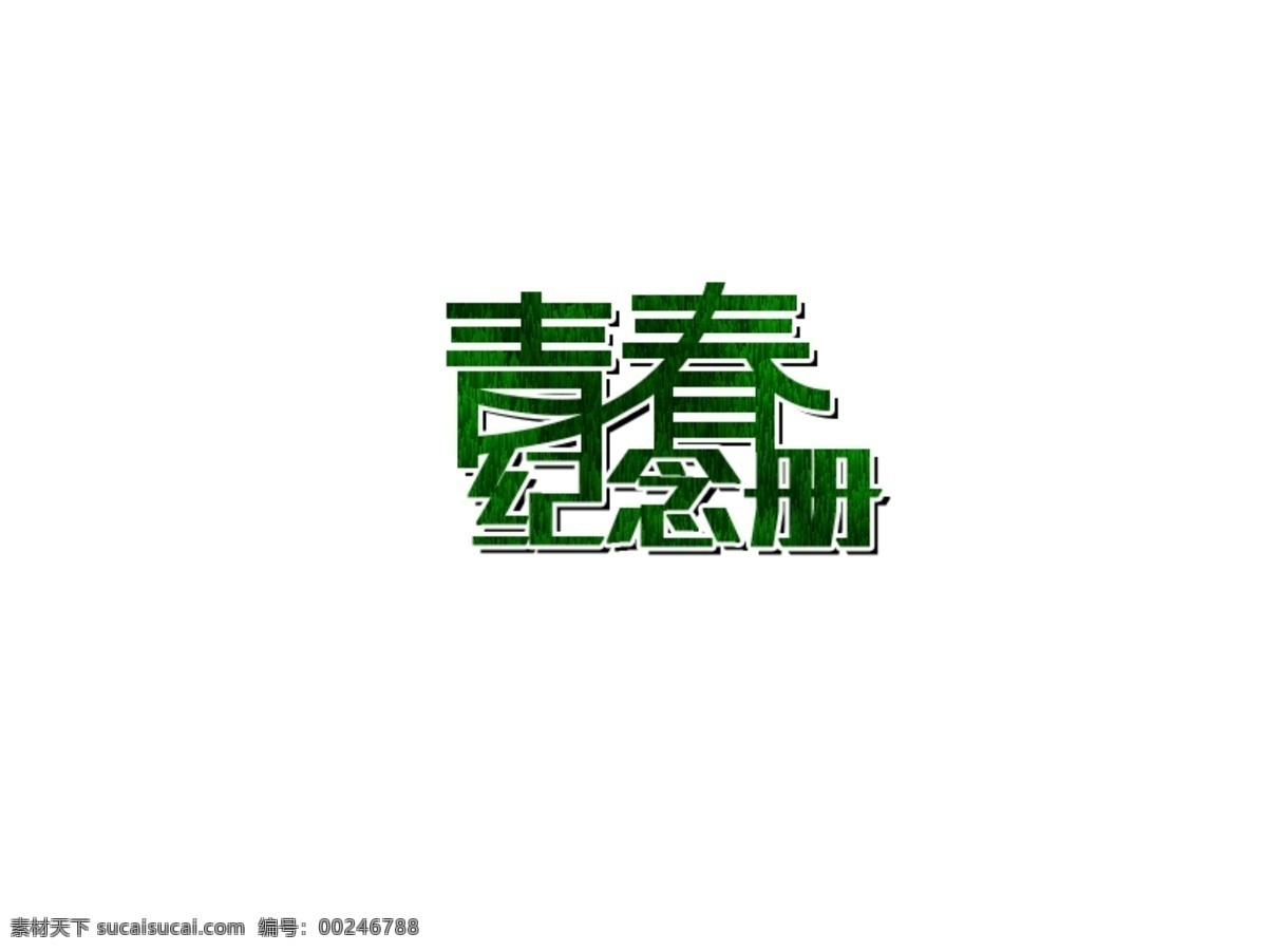 青春纪念册 字体设计 logo 白色