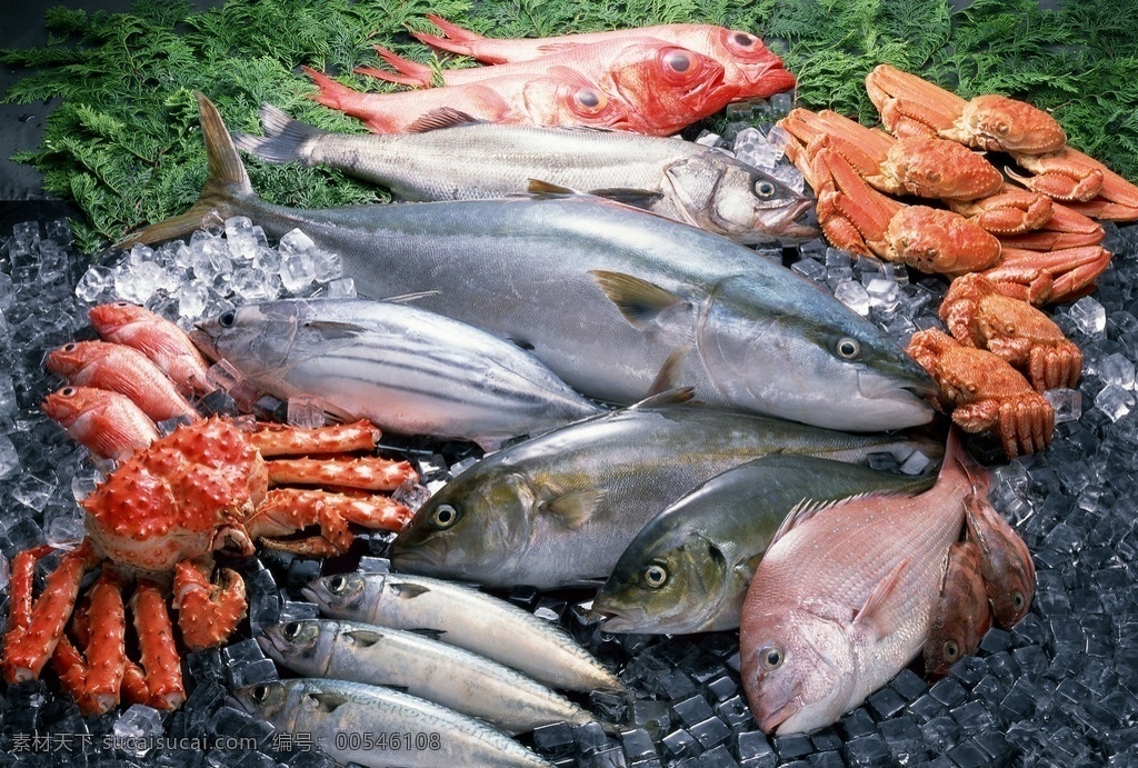 唯美海鲜 美食 美味 食物 食品 海鲜 海味 原料 营养 健康 唯美 清新 意境 餐饮美食 食物原料
