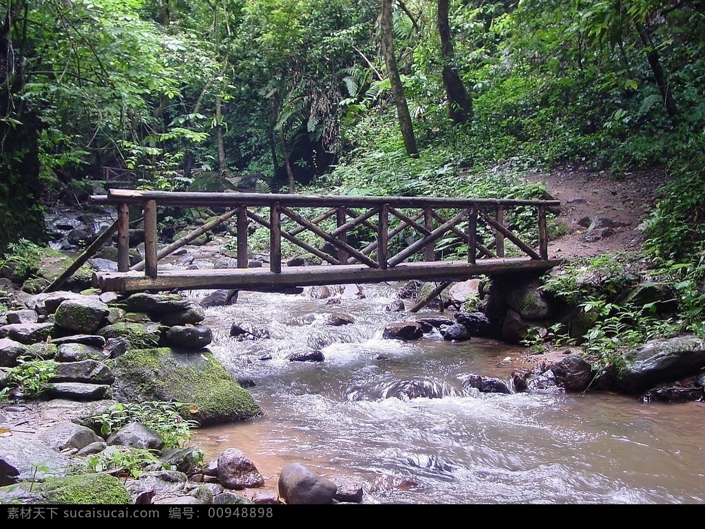 森林 中 小桥流水 森林中的小溪 小溪水 小桥 自然景观 山水风景 摄影图库