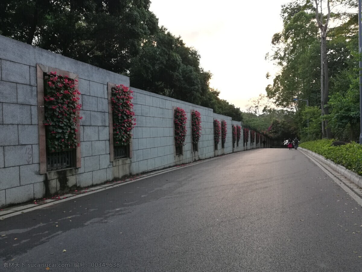 道路 围墙 花卉 盆栽 公路 大楼 交通 墙壁 花儿 鲜花 花草 树木 自然景观 建筑景观