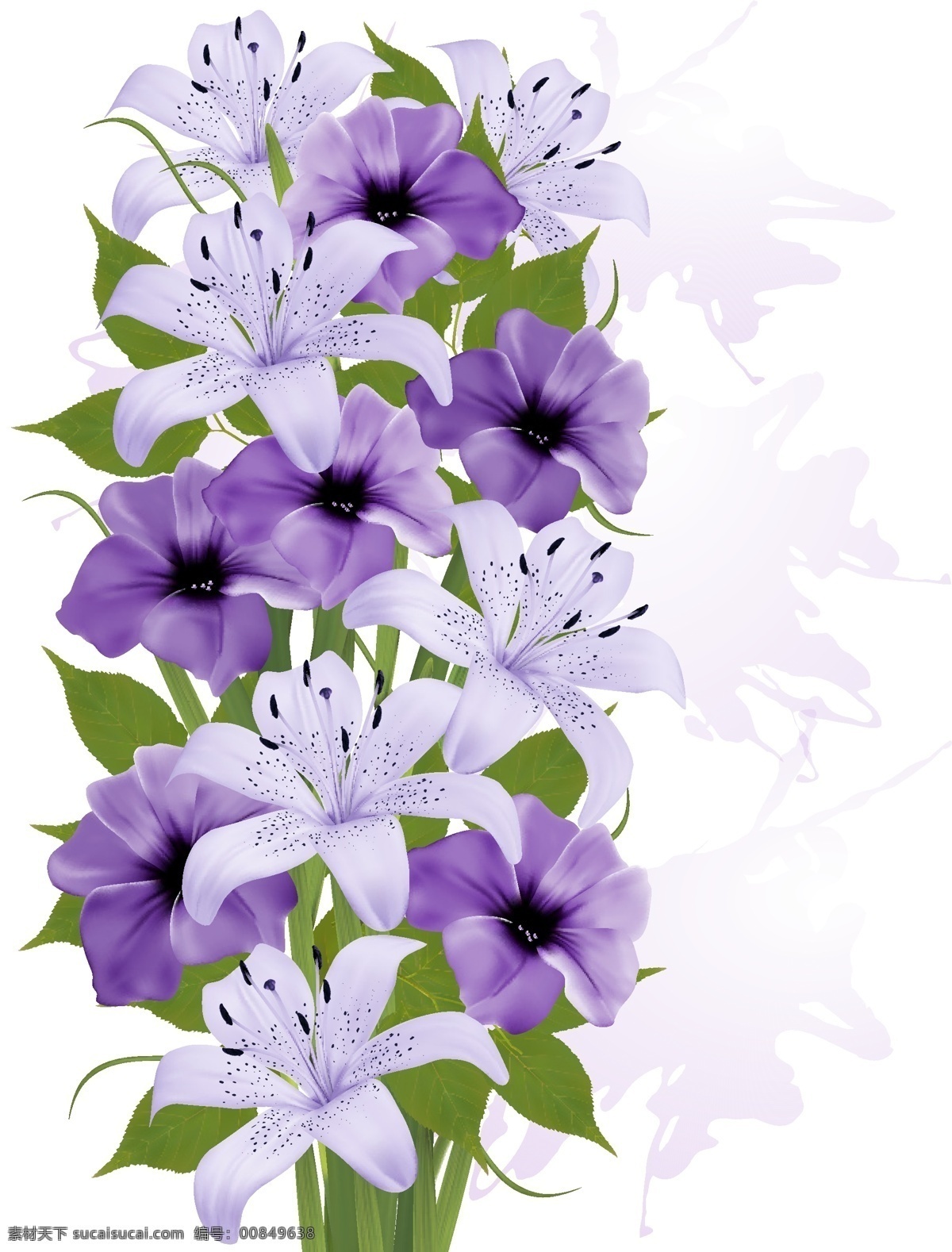 紫色百合花 植物 紫色 百合花 艺术 唯美