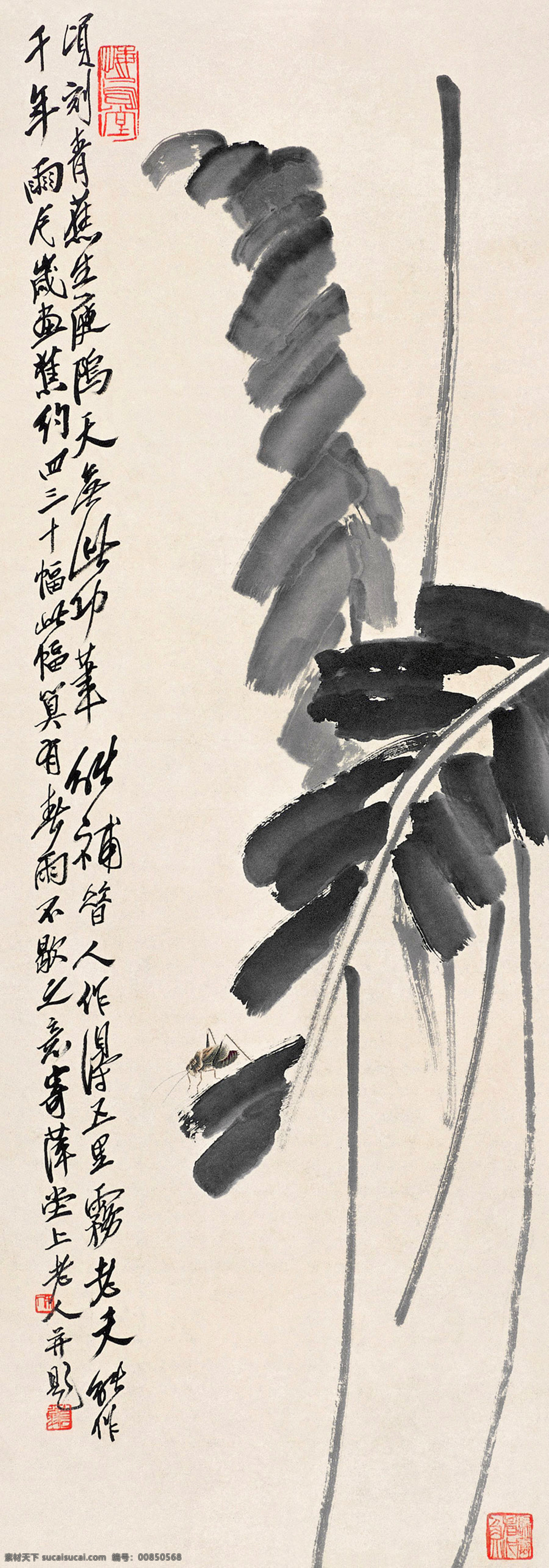 芭蕉蝈蝈 国画 齐白石 蝈蝈 芭蕉 芭蕉树 蕉叶 文化艺术 绘画书法 花卉 草虫