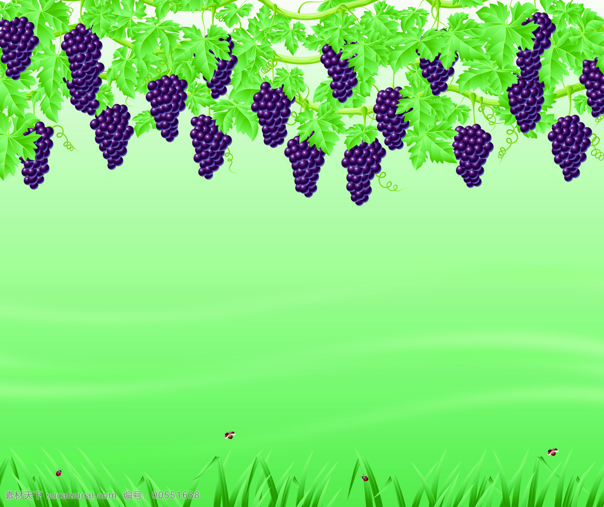 紫色 葡萄 绿色 移门 草 绿色背景 绿叶 小草 叶子 k0887 葡萄成熟时 紫色葡萄 索亚卡23 移门大全23 家居装饰素材