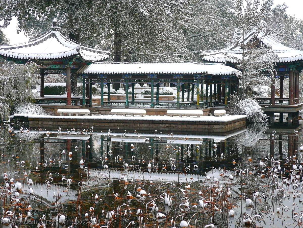 清华大学 校园 一角 清华 清华园 角落 风景 人文 冬 荷花池 雪景 校园风景 园林建筑 建筑园林